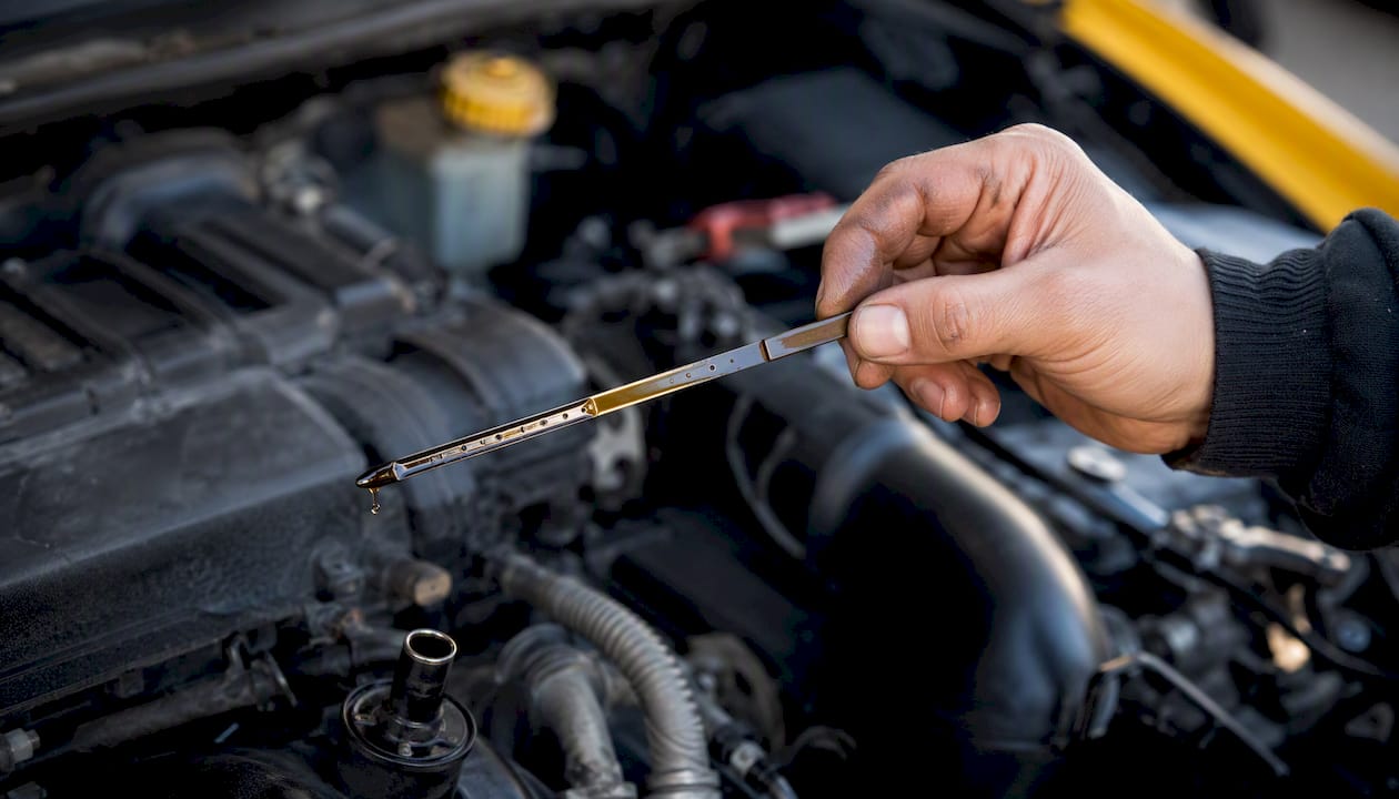 Hand holding oil dipstick with oil level visible