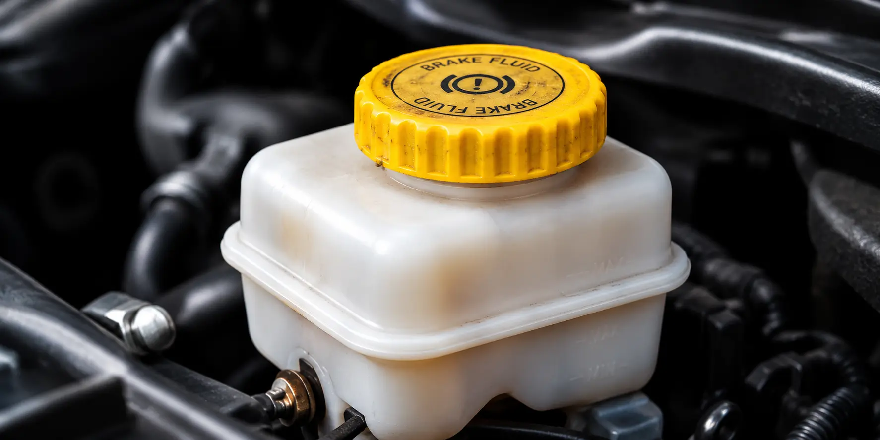 Brake Fluid Service