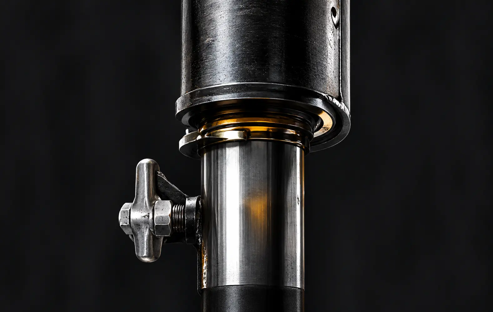 Leaking Shocks or Struts